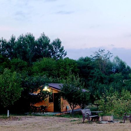 Villa La Livada Valea Danului Esterno foto