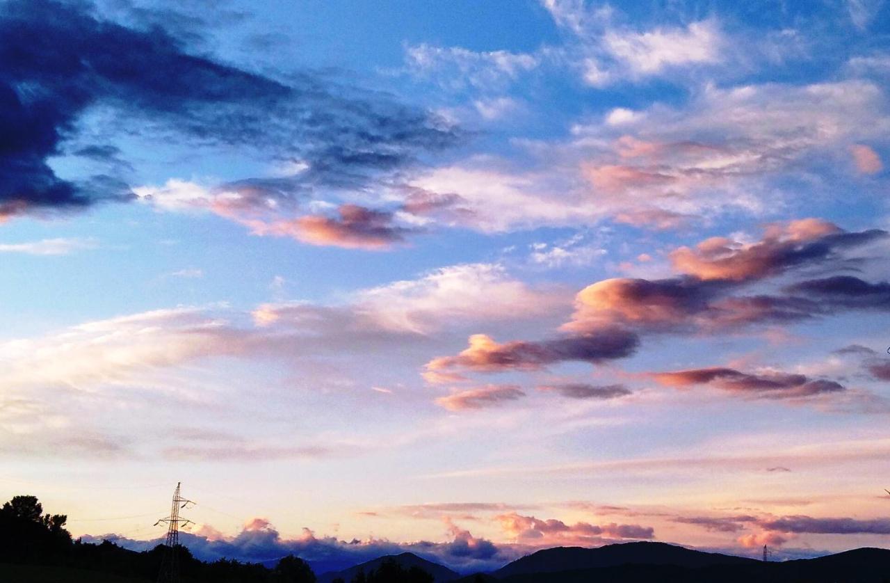 Villa La Livada Valea Danului Esterno foto