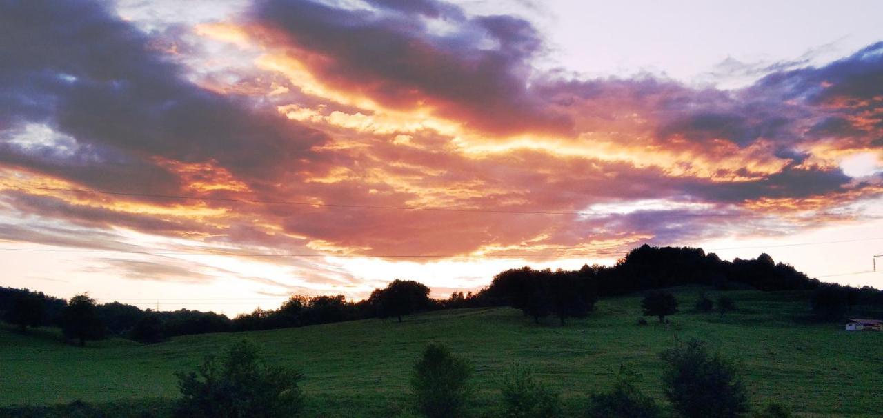 Villa La Livada Valea Danului Esterno foto