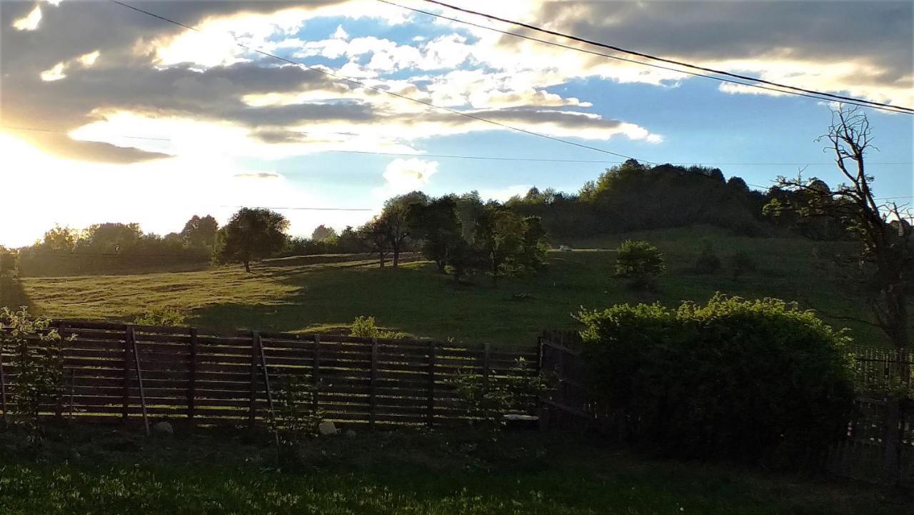 Villa La Livada Valea Danului Esterno foto