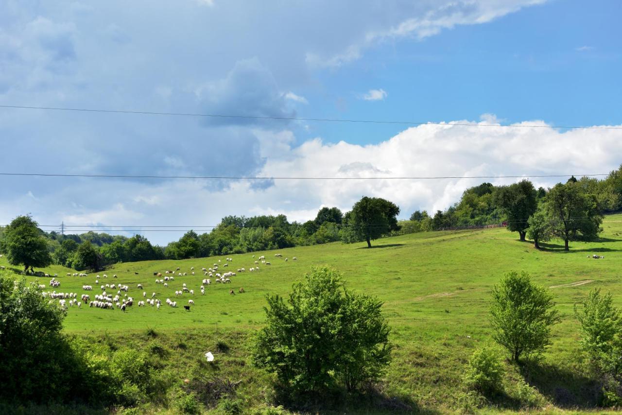 Villa La Livada Valea Danului Esterno foto
