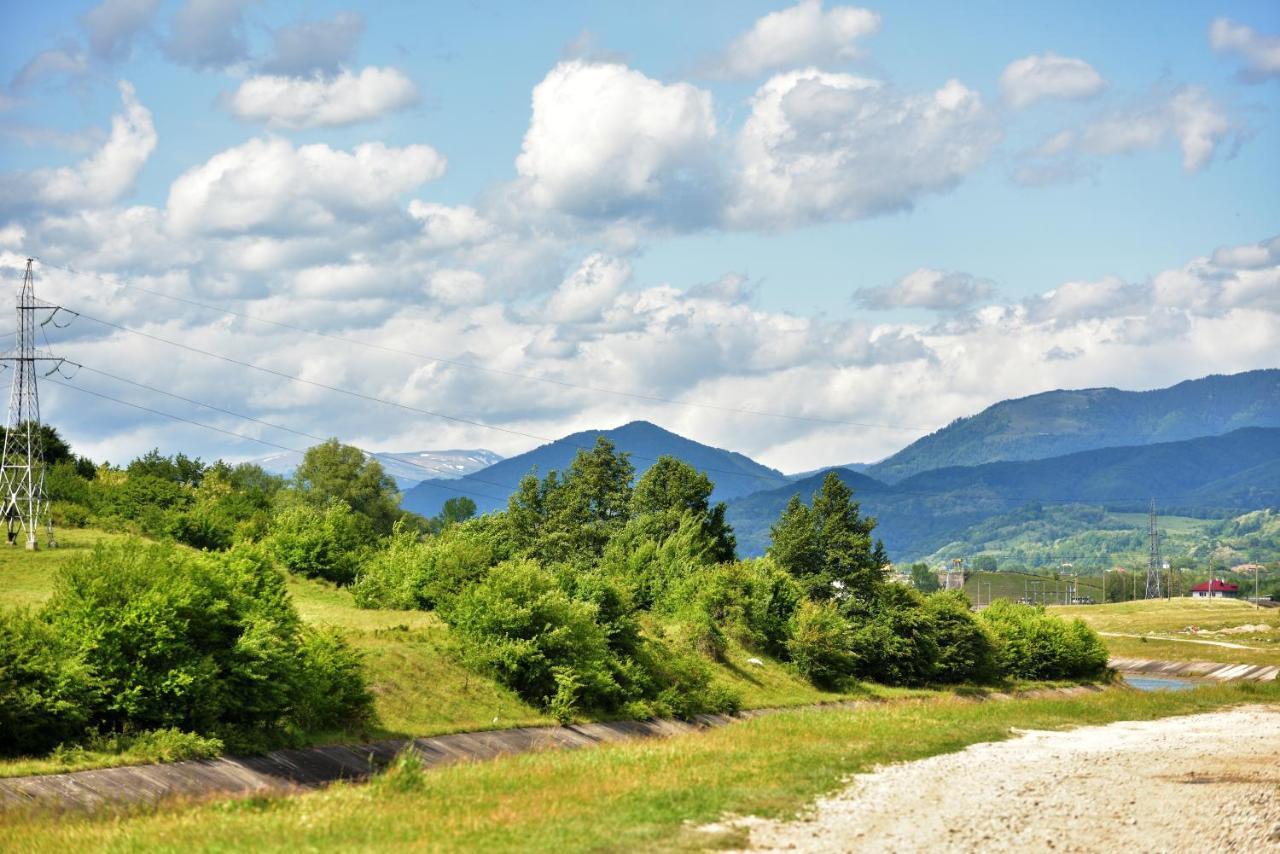 Villa La Livada Valea Danului Esterno foto