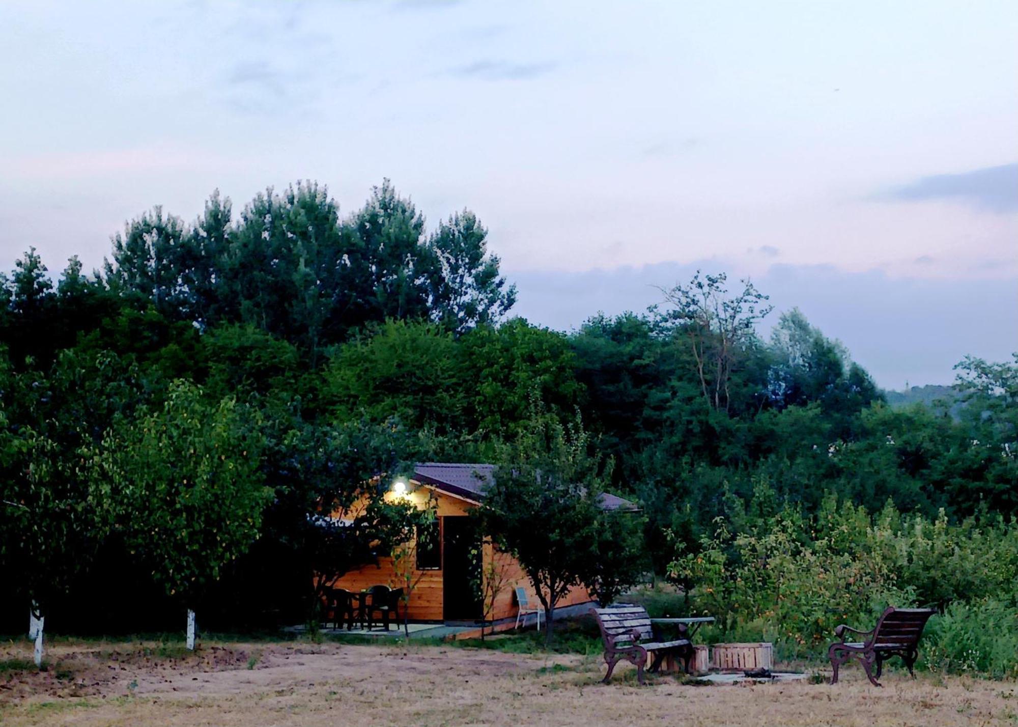 Villa La Livada Valea Danului Esterno foto