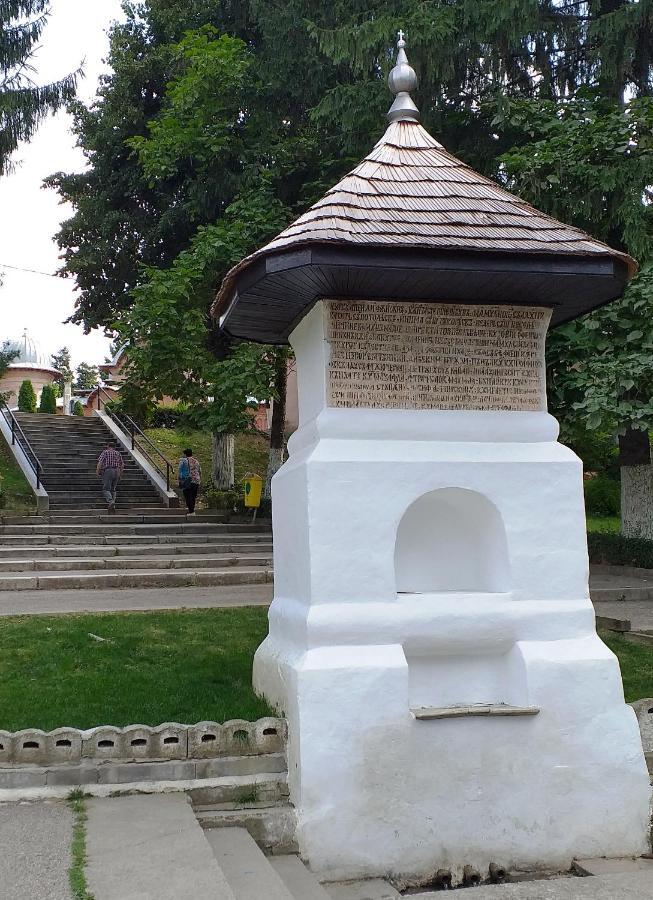 Villa La Livada Valea Danului Esterno foto