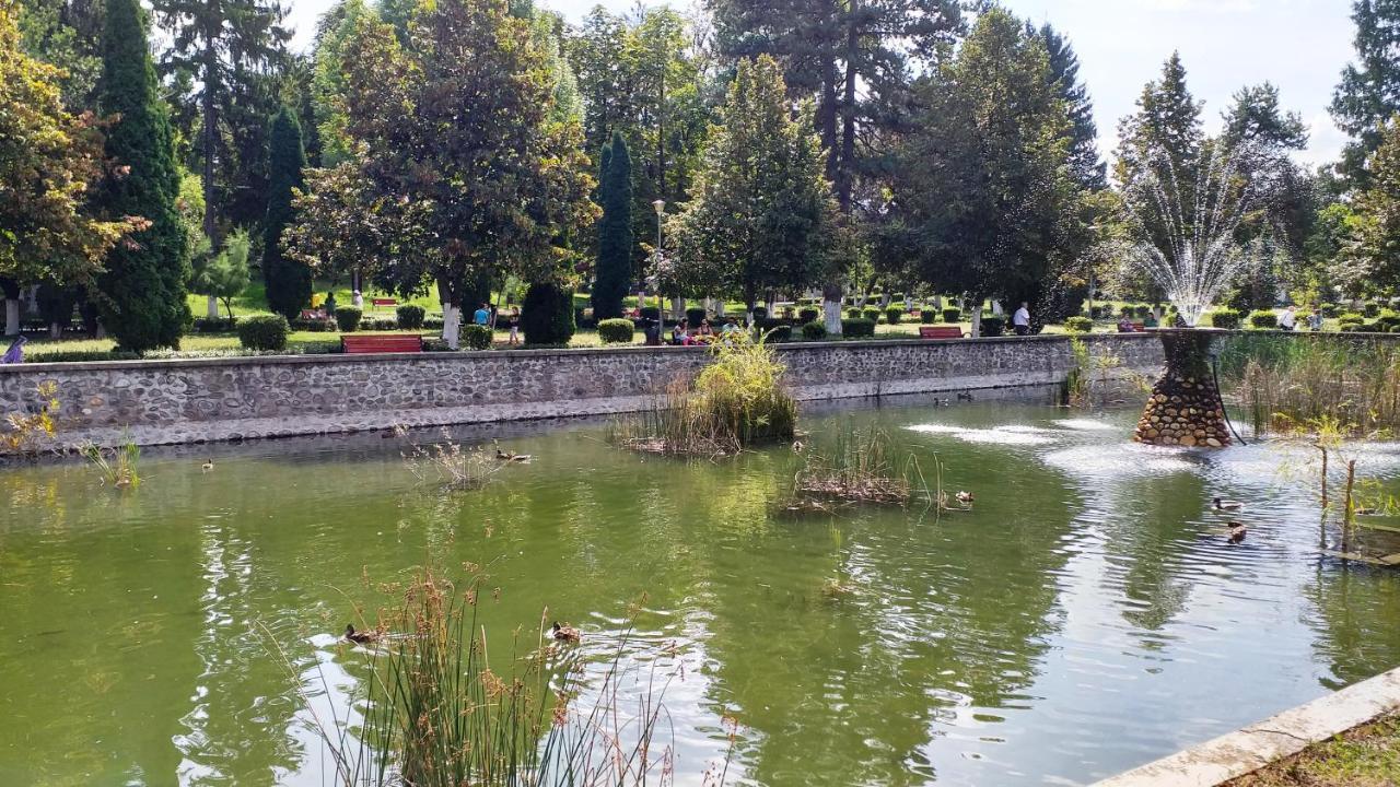 Villa La Livada Valea Danului Esterno foto