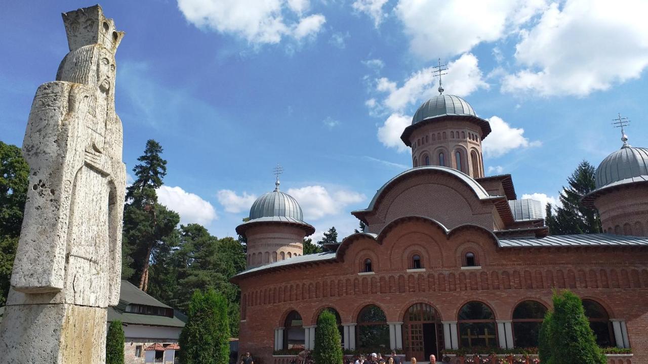 Villa La Livada Valea Danului Esterno foto